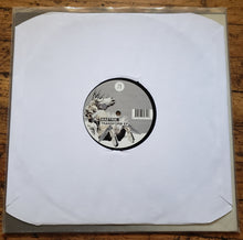Load image into Gallery viewer, Maetrik - Transform EP (12")